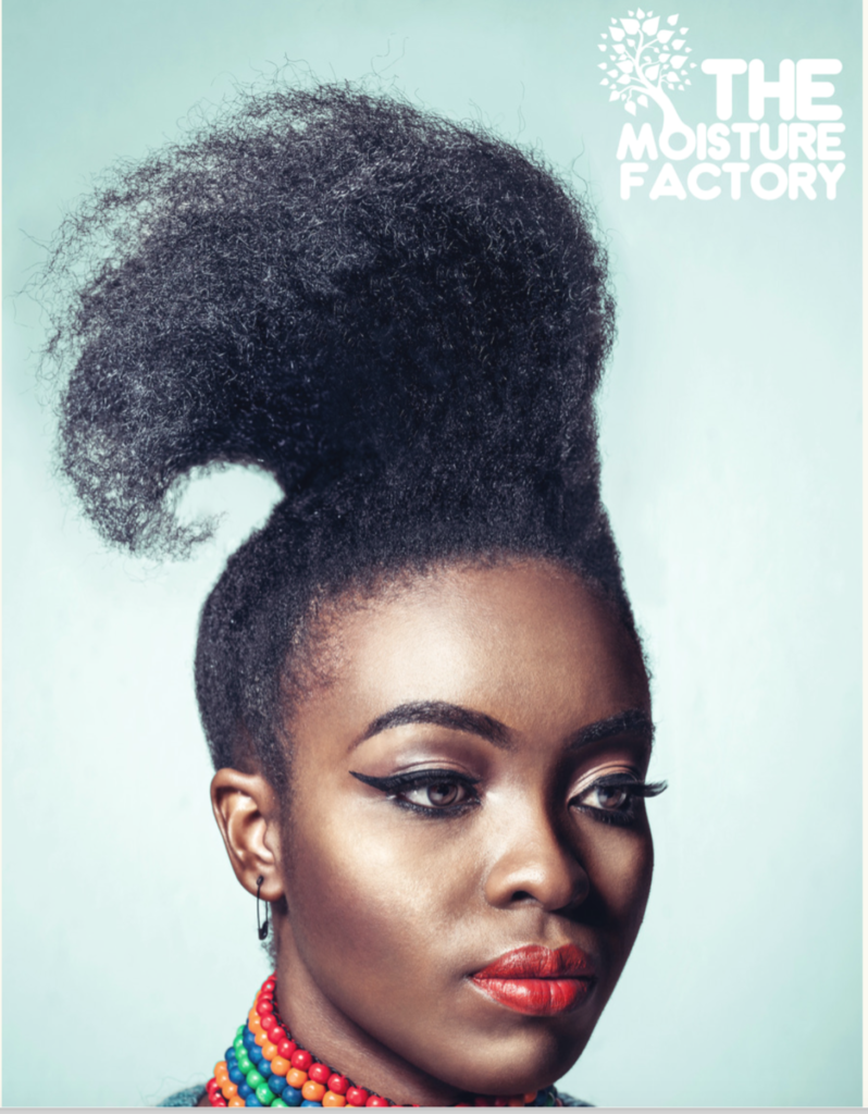 The Moisture Factory